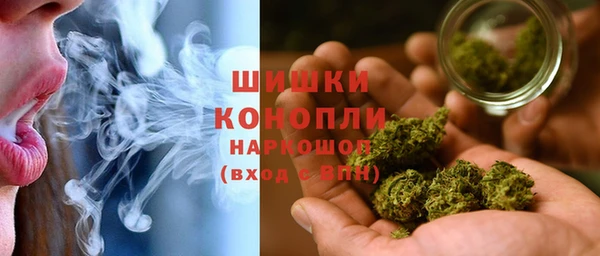 стаф Вяземский