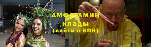 твердый Заводоуковск
