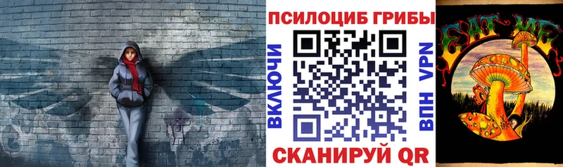 Галлюциногенные грибы MAGIC MUSHROOMS  Ужур 