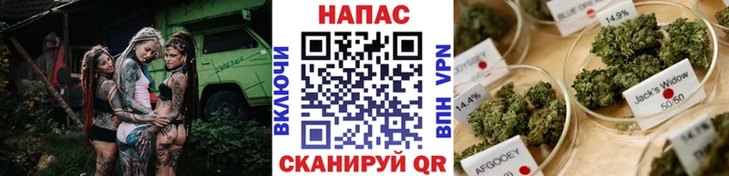 купить наркоту Ужур нарко площадка как зайти Конопля семена